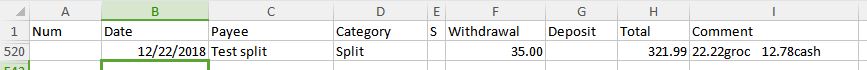 JPG of Excel file showing exported transaction